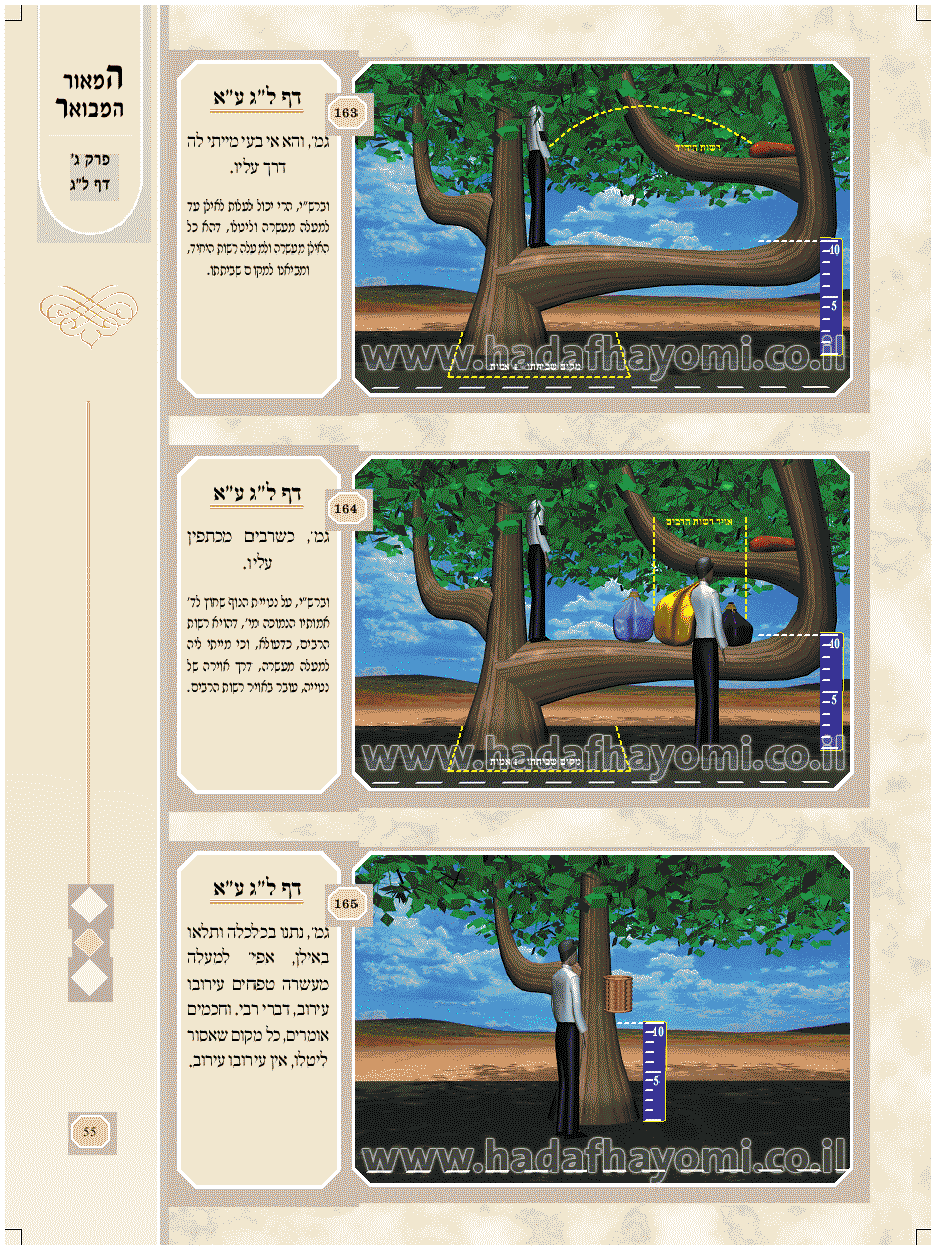 Erouvin - Daf 33